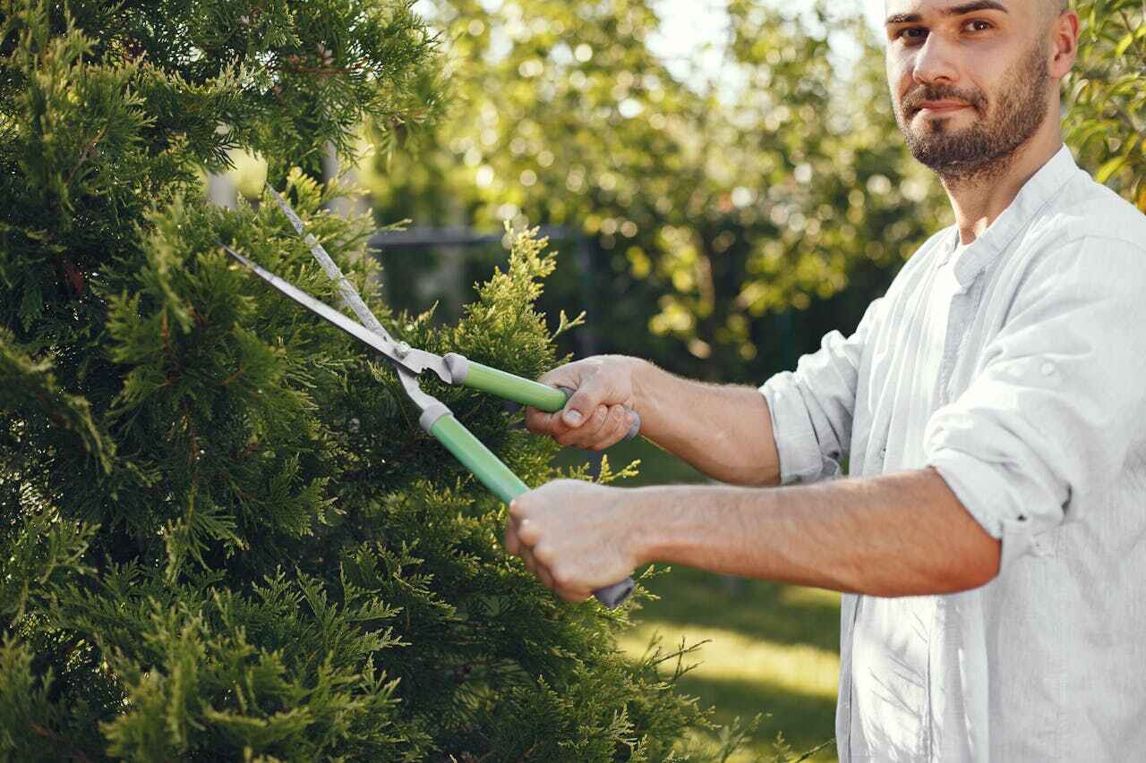 Best Tree Trimming Near Me  in Grant Valkaria, FL